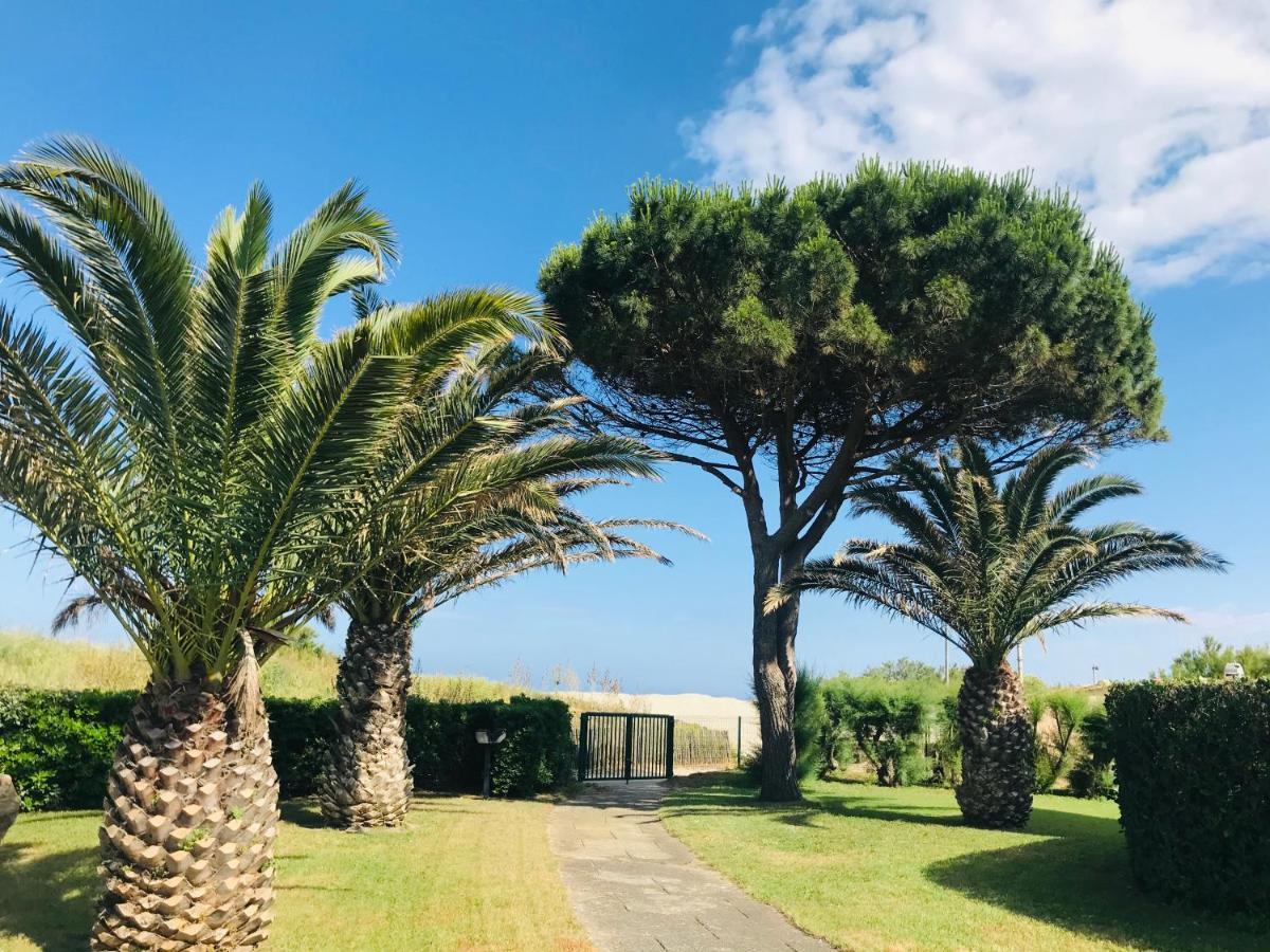 Les Capitelles Bord De Plage Avec Grande Piscine - Vue Montagne Saint-Cyprien  Eksteriør billede